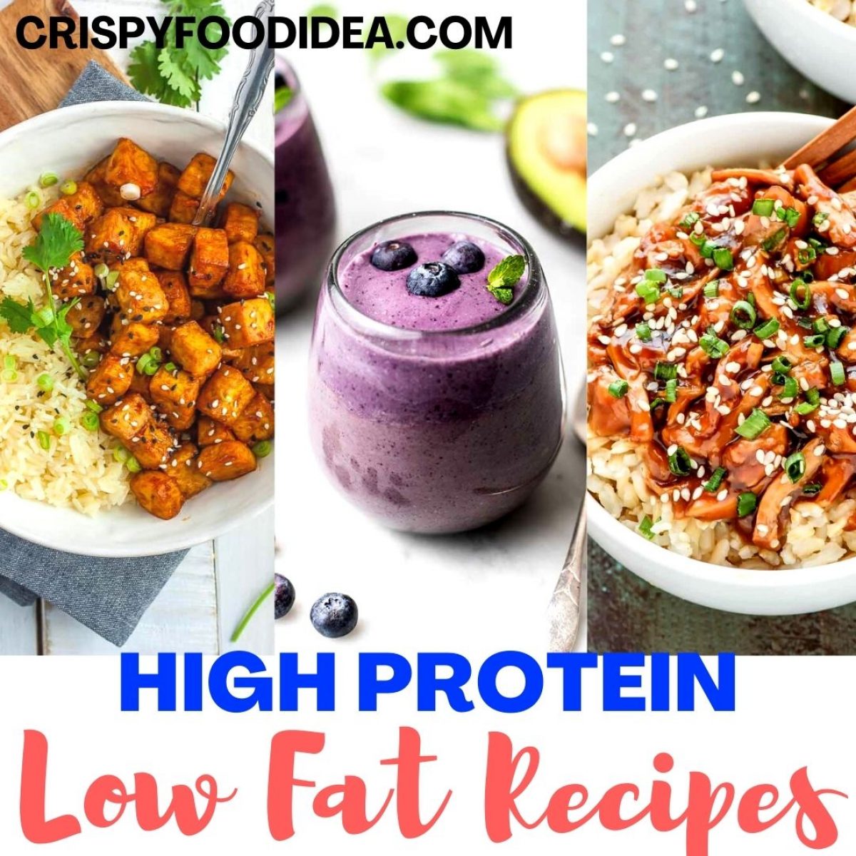 21 High Protein Low Fat Recipes You Need To Try